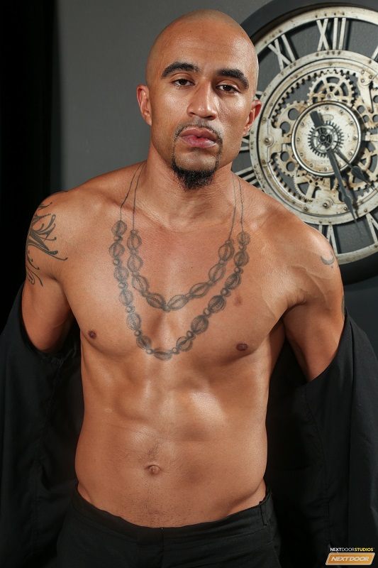 King stud. кинг ноир.